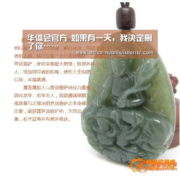 华体会网站