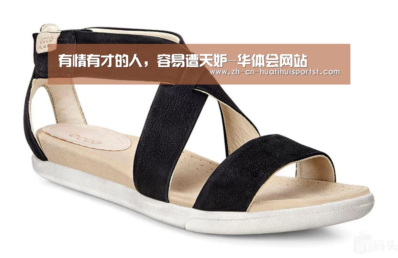 华体会